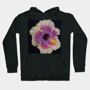 Hibiscus 1 Hoodie